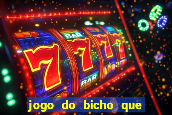 jogo do bicho que paga no pix